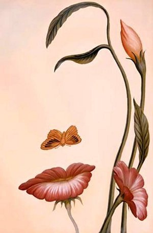 mariposa a la flor ocampo octavio